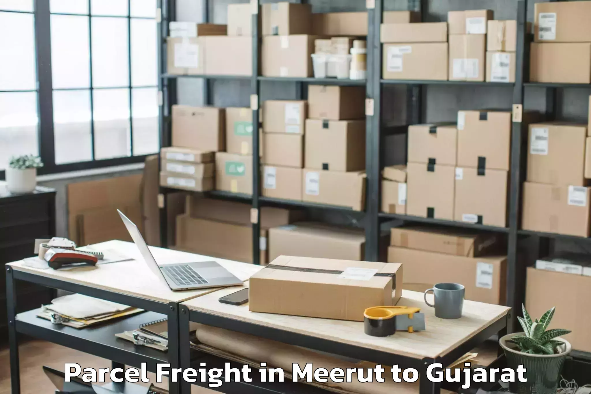 Reliable Meerut to Uka Tarsadia University Bardol Parcel Freight